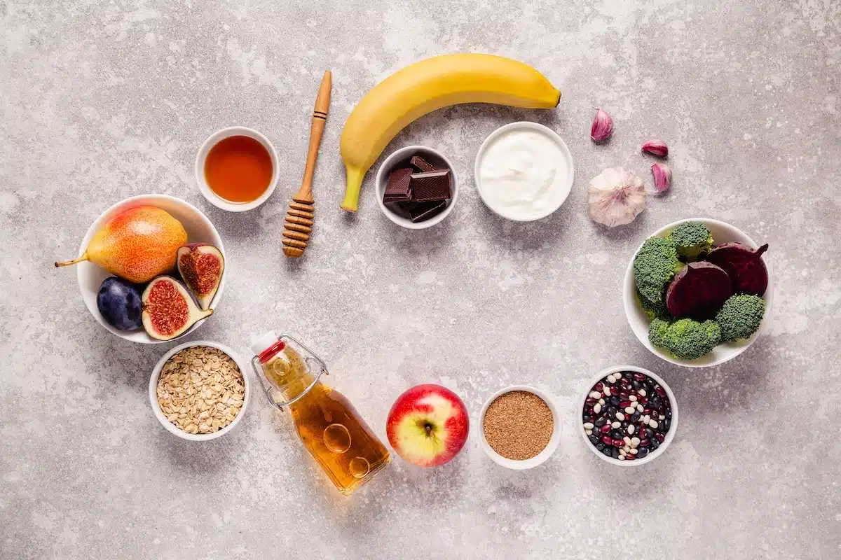 HRT Blog 78 Progesterone and the Gut