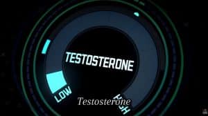 image showing a testosterone gauge