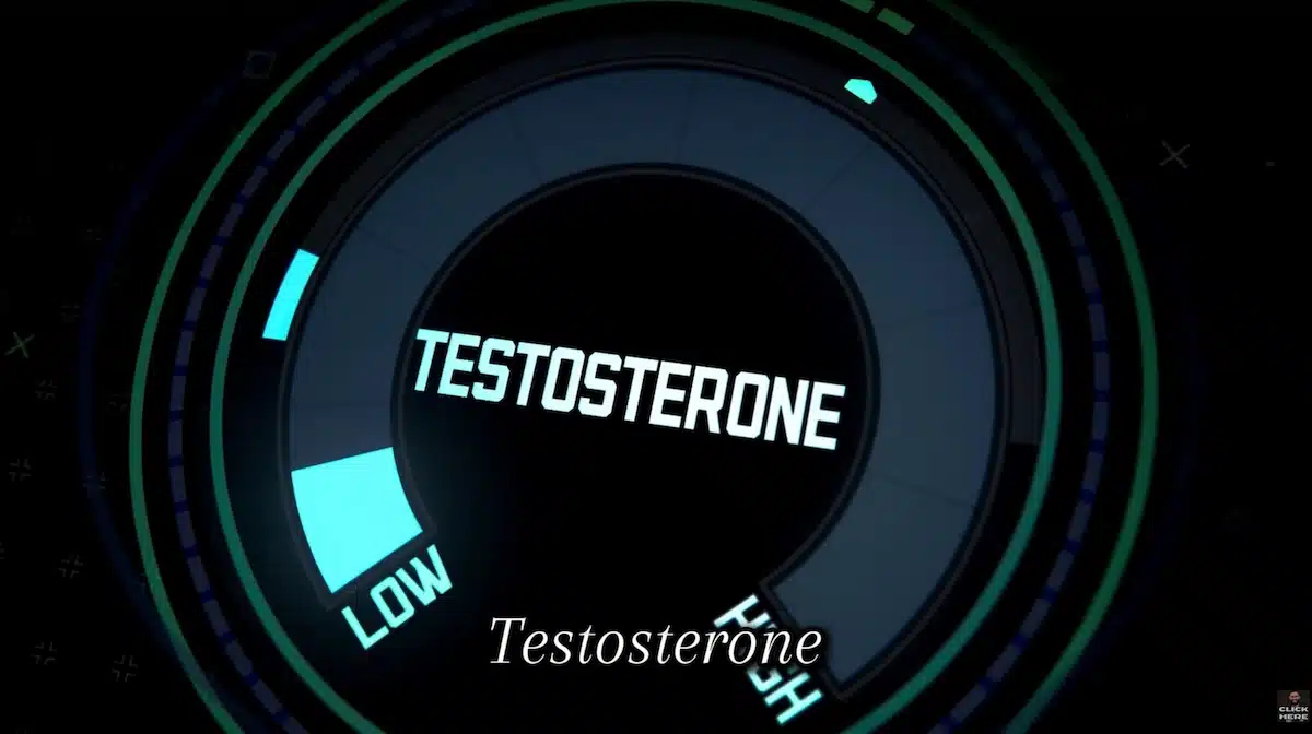 HRT Blog 69 image showing a testosterone gauge